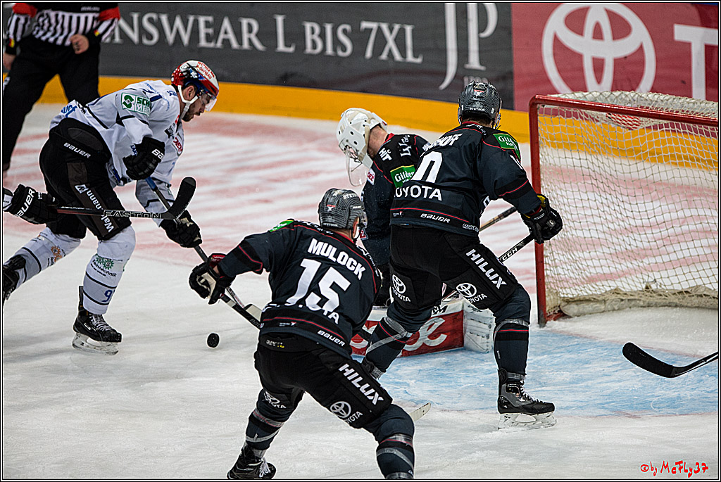 Koelner Haie - Schwenninger Wild Wings, 11.12.2016